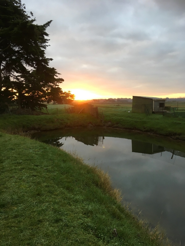 Ma Ferme Thérapeutique