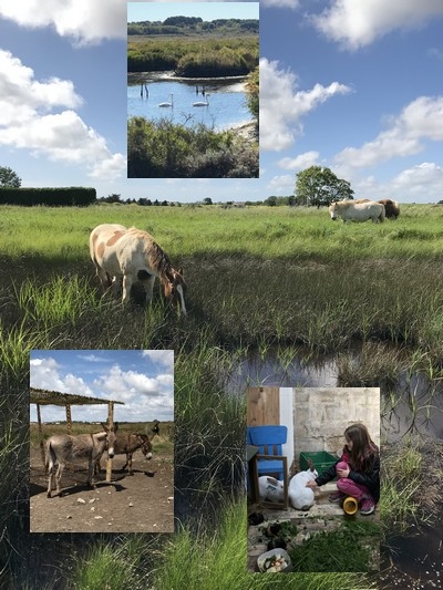 visite découverte de la Ferme et son environnement